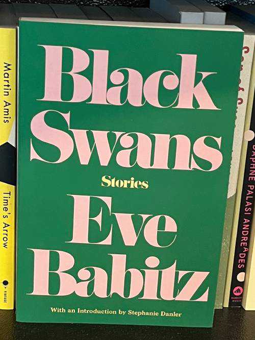 Black Swans by Eve Babitz