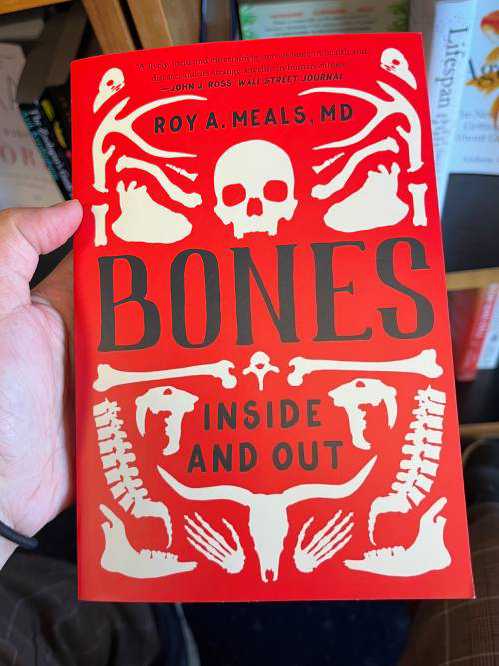 Bones: Inside and Out by Roy A Meals MD
