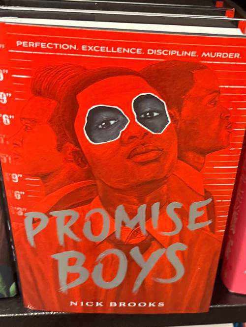 Promise Boys by Nick Brooks