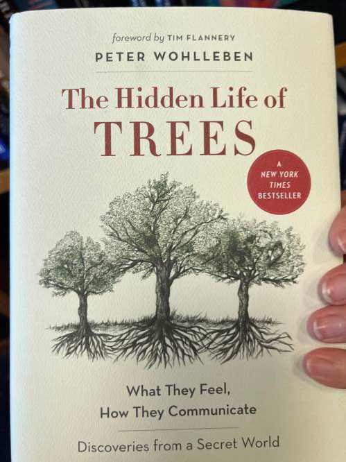 The Hidden Life of Trees by Peter Wohlleben